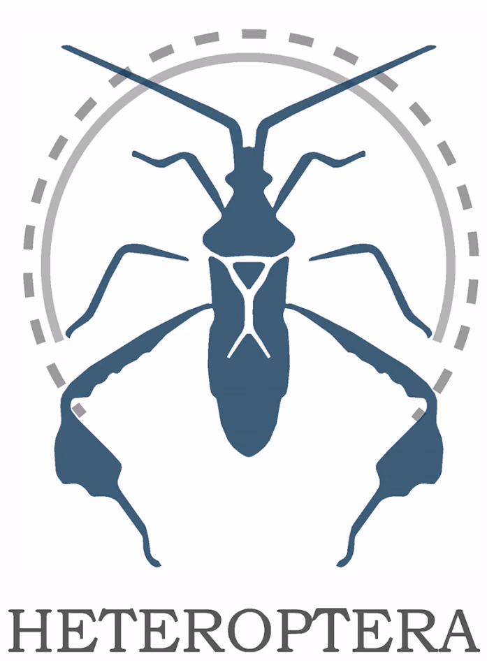 Heteroptera plugin icon showing a stylized insect with segmented body and wings
