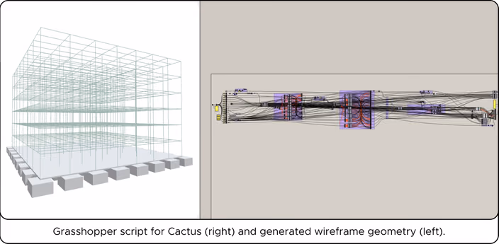 Grasshopper script for Cactus (right) and generated wireframe geometry (left).